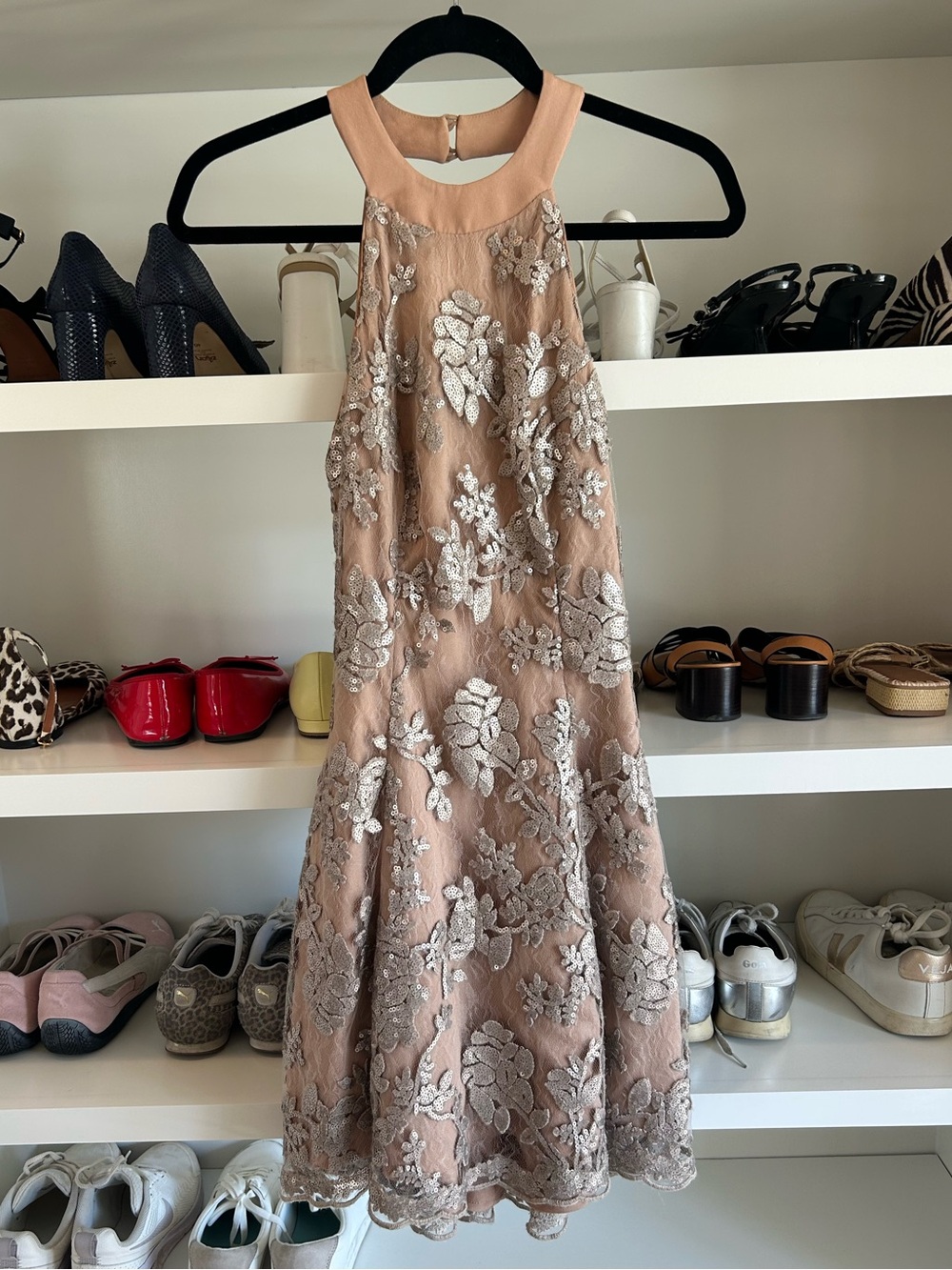 Dress the Population Blush Mini Dress with Silver Lace Appliqué - Picture 3 of 4